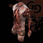 GORY MALE TORSO