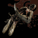 METAMORPH ANIMATED CADAVER